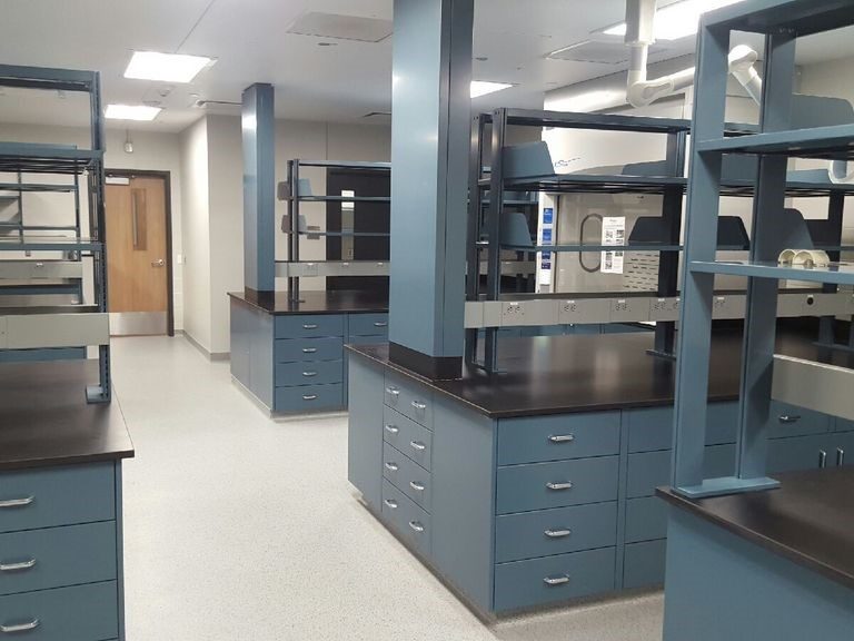 Laboratory with durable dark epoxy work surfaces